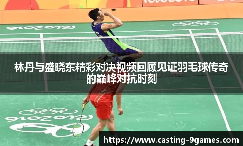 林丹与盛晓东精彩对决视频回顾见证羽毛球传奇的巅峰对抗时刻